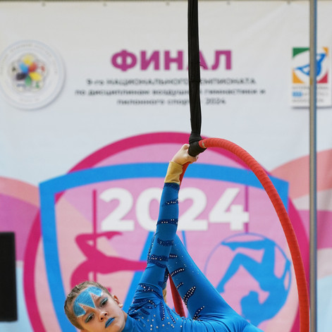 гимнасика 14354