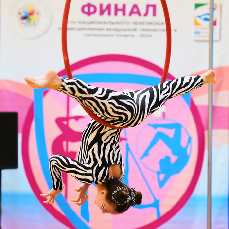 гимнасика 17565