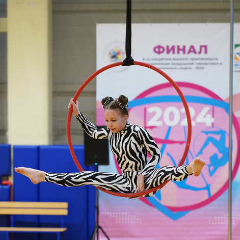 гимнасика 17651